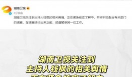 娱乐圈吃瓜动态视频大全,吃瓜视频大全，带你领略明星幕后故事